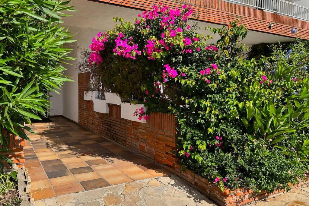 Apartamento Acogedor , Blanes Buitenkant foto